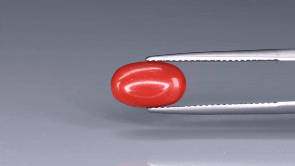 Coral  - 3.1ct - KC213971