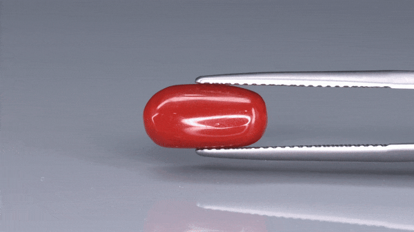 Coral  - 3.6ct - KC213973