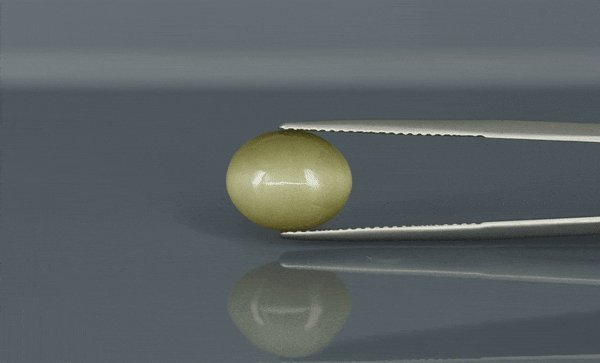 Cat's Eye - 5.05ct - KCE211137