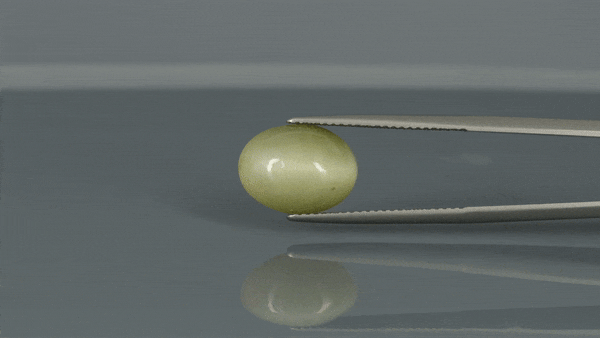 Cat's Eye - 6.05ct - KCE211142