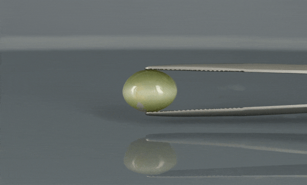 Cat's Eye - 4.7ct - KCE211144