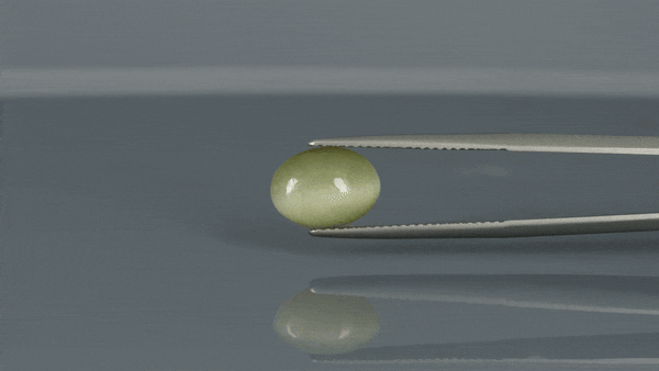 Cat's Eye - 3.5ct - KCE211147
