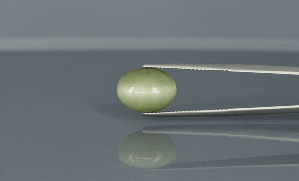 Cat's Eye - 7.55ct - KCE211307