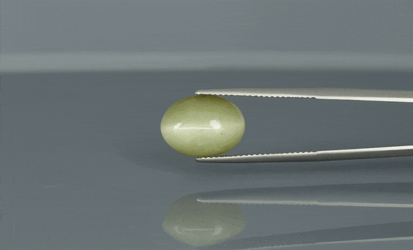 Cat's Eye - 7.5ct - KCE211308