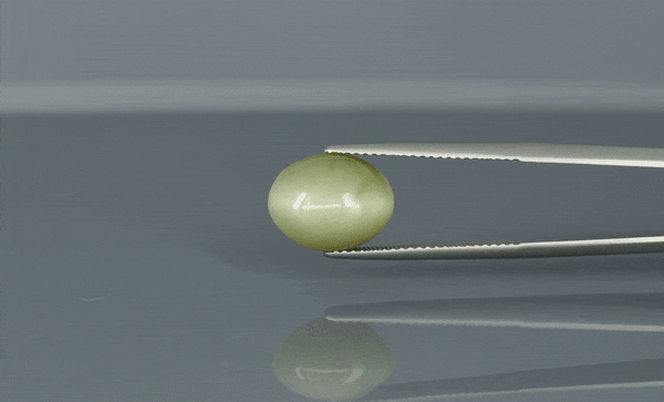 Cat's Eye - 6.15ct - KCE211312
