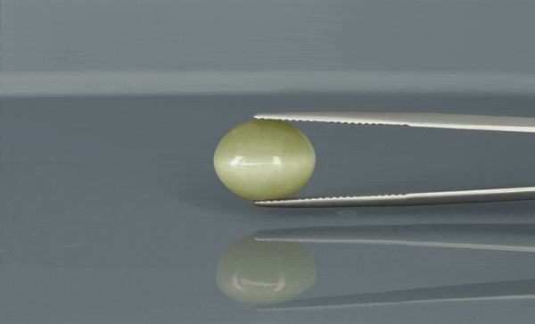 Cat's Eye - 6.8ct - KCE211313