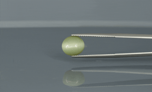 Cat's Eye - 3.8ct - KCE211314