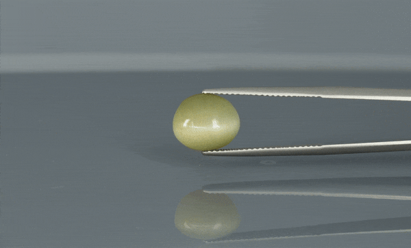 Cat's Eye - 5.3ct - KCE211315