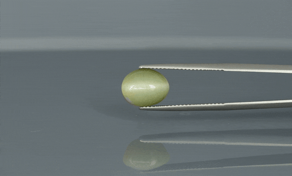 Cat's Eye - 4.7ct - KCE211316