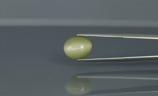 Cat's Eye - 6.5ct - KCE211341