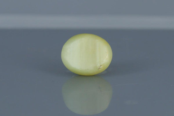 Cat's Eye - 6.5ct - KCE211341