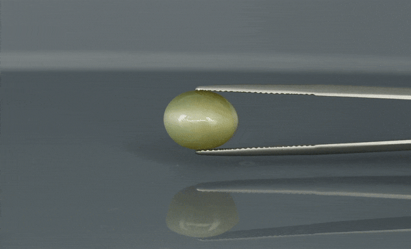 Cat's Eye - 6.9ct - KCE211342