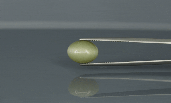 Cat's Eye - 6.4ct - KCE211344