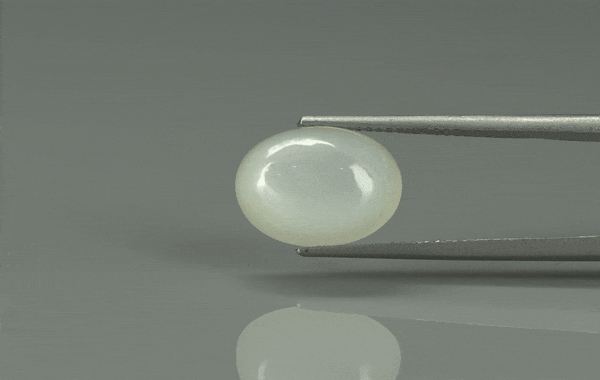 Moon Stone - 5.5ct - KMS312692