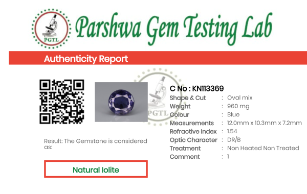 Iolite - 4.8ct - KN113369