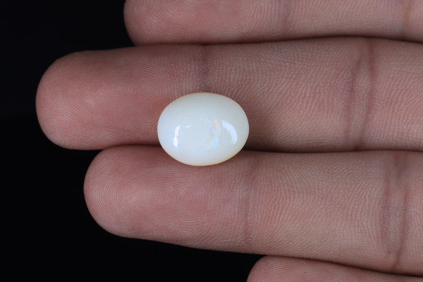 Opal - 6.7ct - KO113478
