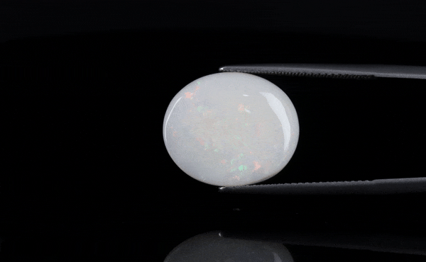 Opal - 6ct - KO113479