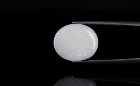 Opal - 6ct - KO113479