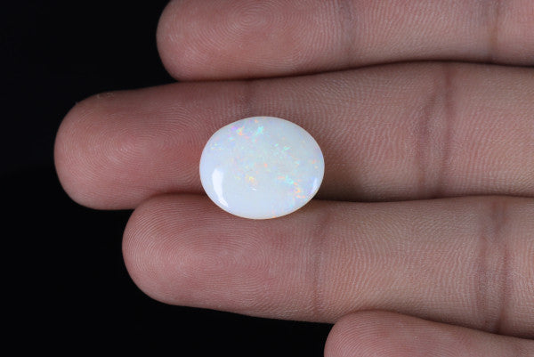 Opal - 6ct - KO113479