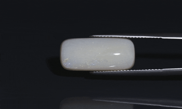 Opal - 6.5ct - KO213531
