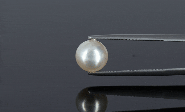 Pearl - 4ct - KP111270