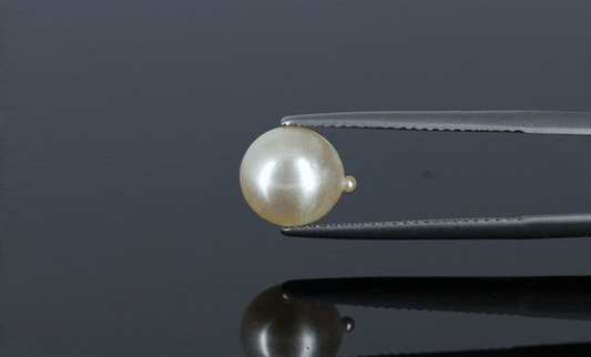 Pearl - 3.8ct - KP111273