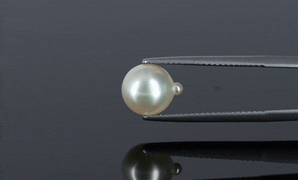 Pearl - 4.05ct - KP111278