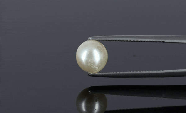 Pearl - 3.85ct - KP111279