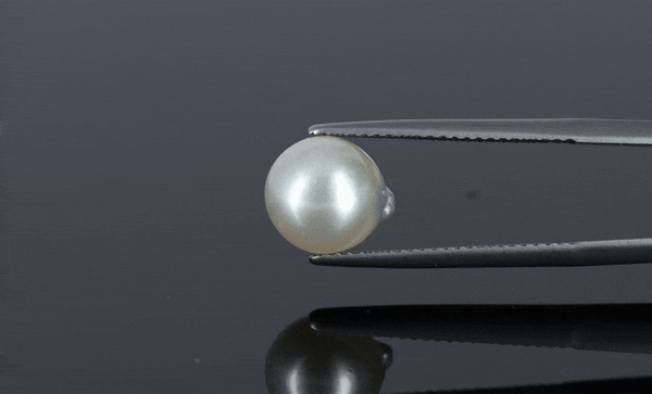 Pearl - 4.5ct - KP111282
