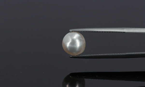 Pearl - 4.05ct - KP111287