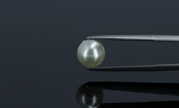 Pearl - 3.9ct - KP111289