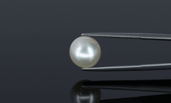 Pearl - 7.75ct - KP111294