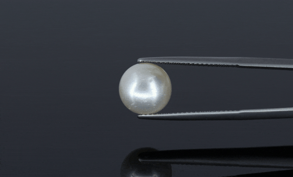 Pearl - 7.15ct - KP111299
