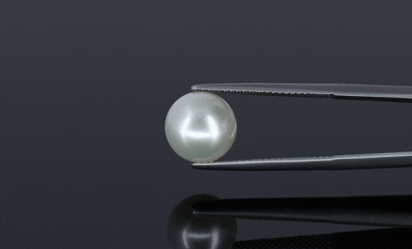 Pearl - 6.6ct - KP111300