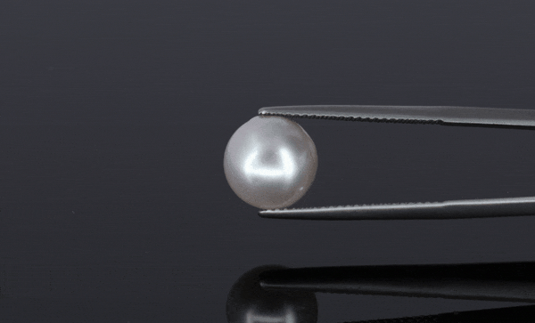 Pearl - 6.6ct - KP111301