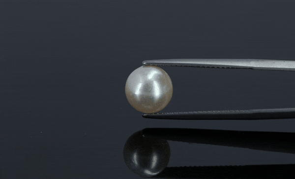 Pearl - 4.3ct - KP111302