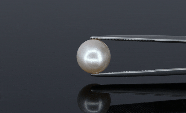 Pearl - 7.8ct - KP111303