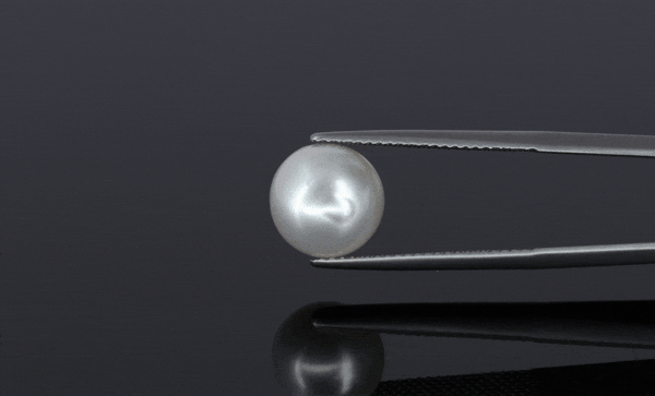 Pearl - 6.8ct - KP111304