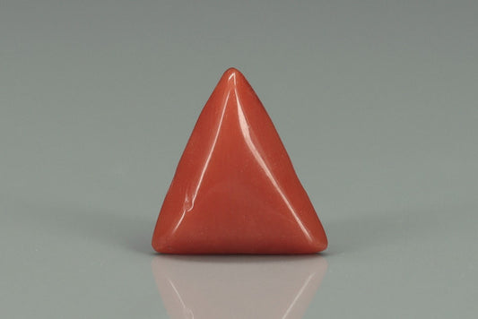Triangle Coral  - 3.3ct - KTC212384