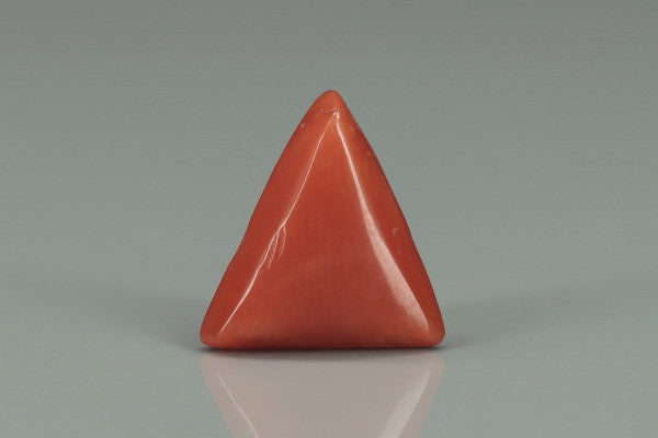 Triangle Coral  - 3.3ct - KTC212384