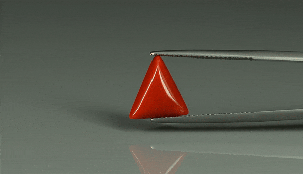Triangle Coral  - 4.05ct - KTC212632