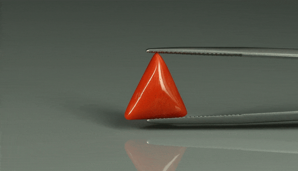 Triangle Coral  - 6.15ct - KTC212634
