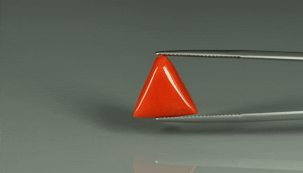 Triangle Coral  - 11.65ct - KTC212760