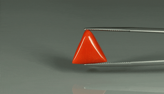 Triangle Coral  - 11.65ct - KTC212760