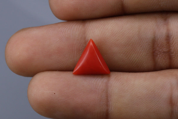 Triangle Coral  - 2.6ct - KTC214163