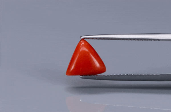 Triangle Coral  - 2.85ct - KTC214164