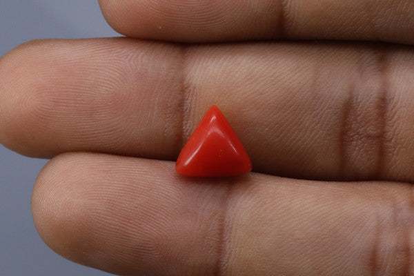 Triangle Coral  - 2.85ct - KTC214164