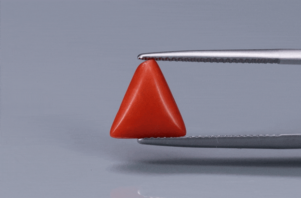 Triangle Coral  - 3.3ct - KTC214165