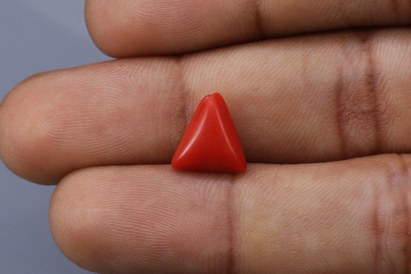 Triangle Coral  - 3.3ct - KTC214165