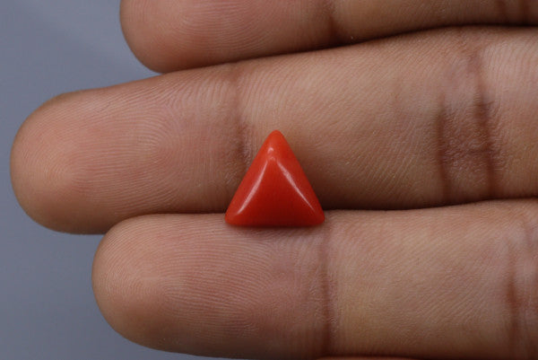 Triangle Coral  - 2.8ct - KTC214166